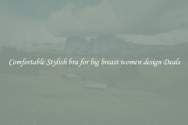 Comfortable Stylish bra for big breast women design Deals