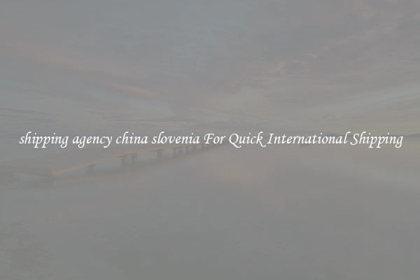 shipping agency china slovenia For Quick International Shipping