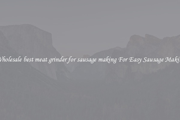 Wholesale best meat grinder for sausage making For Easy Sausage Making