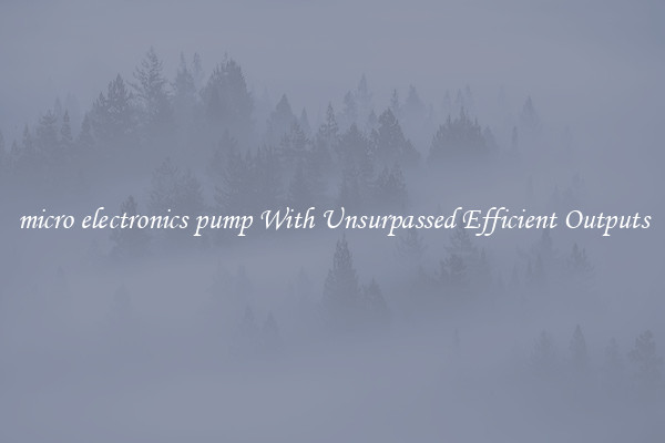 micro electronics pump With Unsurpassed Efficient Outputs