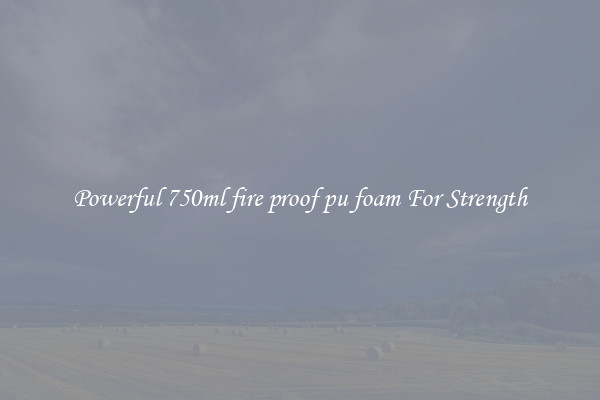Powerful 750ml fire proof pu foam For Strength