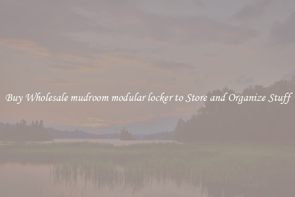 Buy Wholesale mudroom modular locker to Store and Organize Stuff