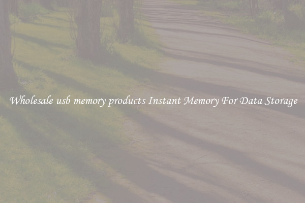 Wholesale usb memory products Instant Memory For Data Storage