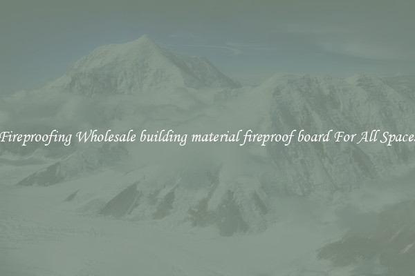 Fireproofing Wholesale building material fireproof board For All Spaces