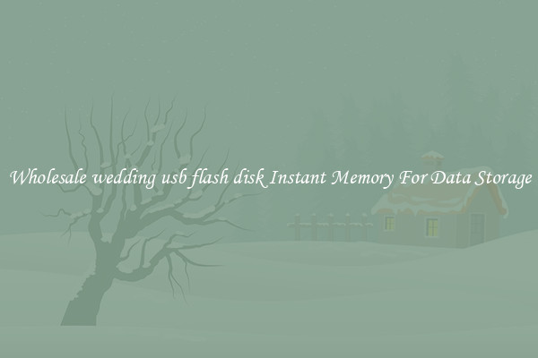 Wholesale wedding usb flash disk Instant Memory For Data Storage