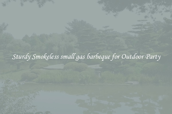 Sturdy Smokeless small gas barbeque for Outdoor Party
