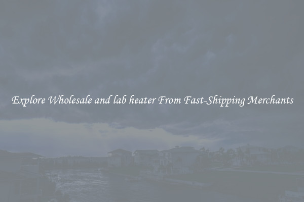 Explore Wholesale and lab heater From Fast-Shipping Merchants