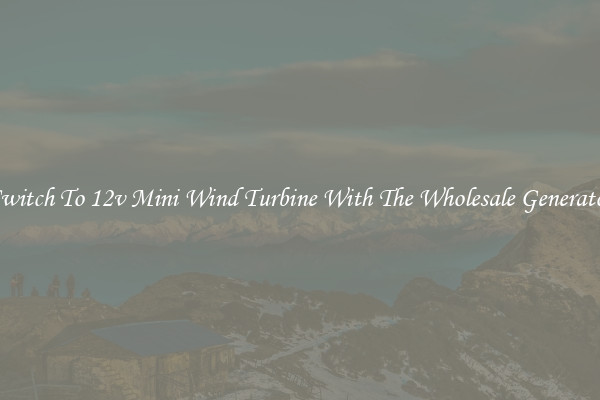 Switch To 12v Mini Wind Turbine With The Wholesale Generator