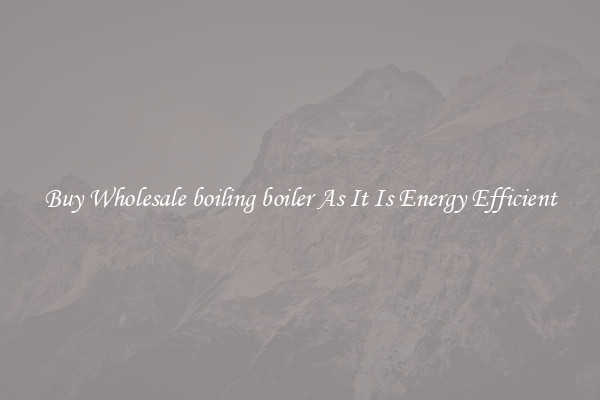 Buy Wholesale boiling boiler As It Is Energy Efficient