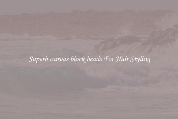 Superb canvas block heads For Hair Styling