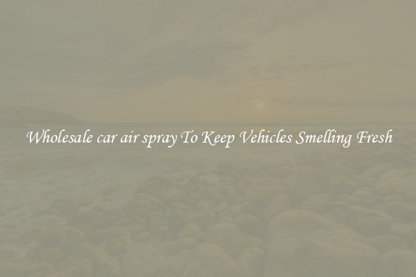 Wholesale car air spray To Keep Vehicles Smelling Fresh