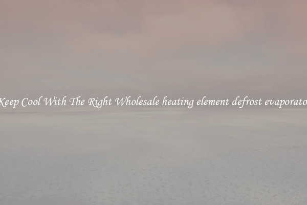 Keep Cool With The Right Wholesale heating element defrost evaporator