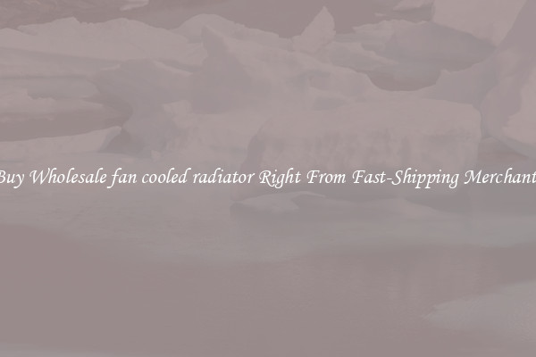 Buy Wholesale fan cooled radiator Right From Fast-Shipping Merchants