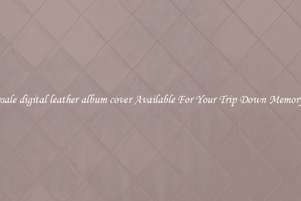 Wholesale digital leather album cover Available For Your Trip Down Memory Lane