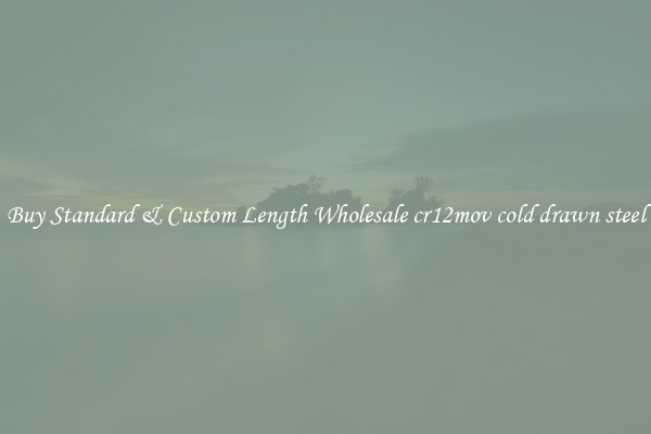 Buy Standard & Custom Length Wholesale cr12mov cold drawn steel