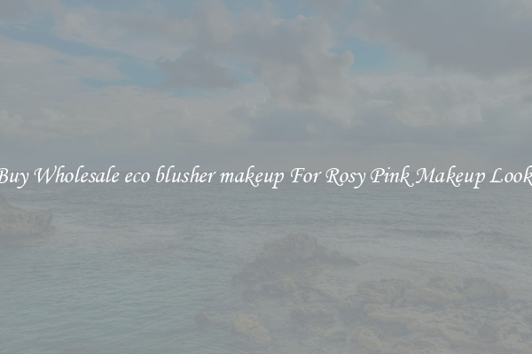 Buy Wholesale eco blusher makeup For Rosy Pink Makeup Looks