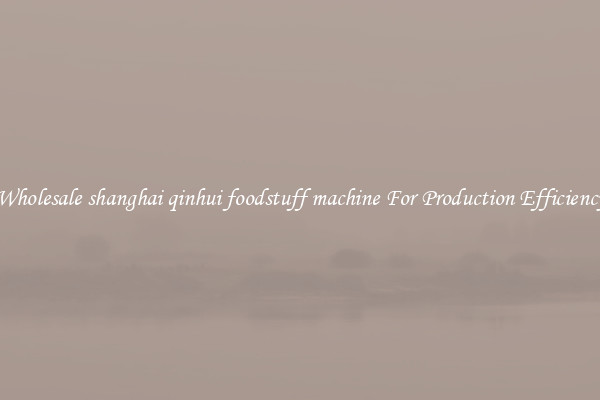 Wholesale shanghai qinhui foodstuff machine For Production Efficiency