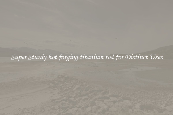 Super Sturdy hot forging titanium rod for Distinct Uses