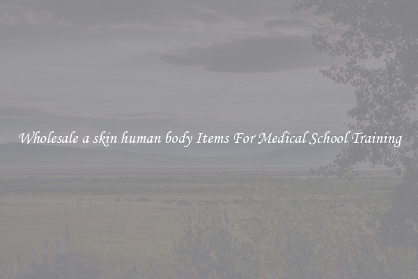 Wholesale a skin human body Items For Medical School Training