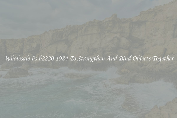 Wholesale jis b2220 1984 To Strengthen And Bind Objects Together