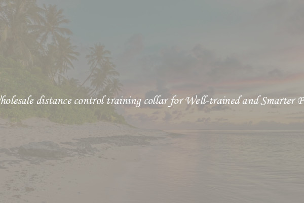 Wholesale distance control training collar for Well-trained and Smarter Pets