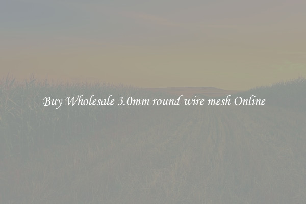 Buy Wholesale 3.0mm round wire mesh Online